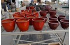 Property photo 49 - PERSONAL PROPERTY AUCTION OF DEWALD GARDENS IN ALLEN COUNTY, INDIANA